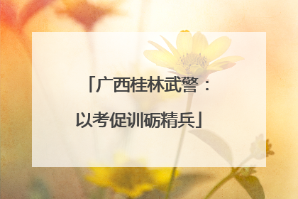 广西桂林武警：以考促训砺精兵